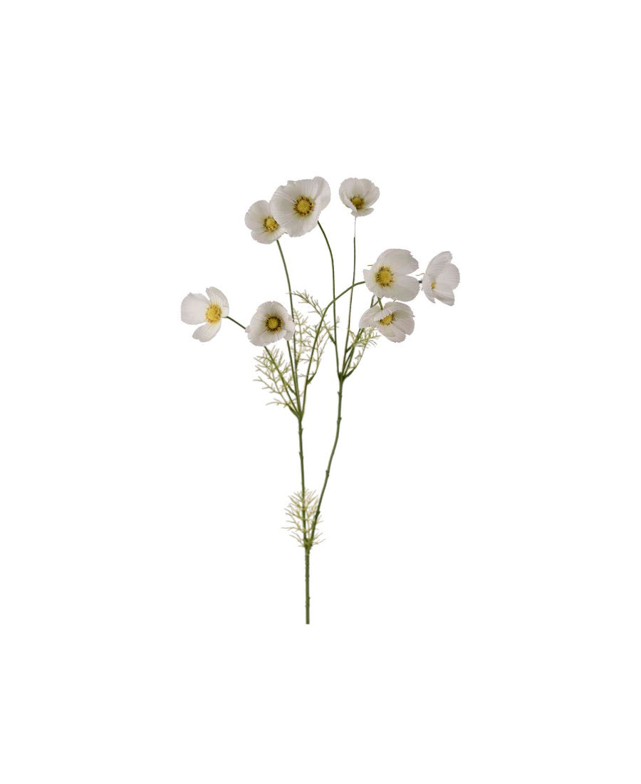 Rosenskära snittblomma vit 100 cm