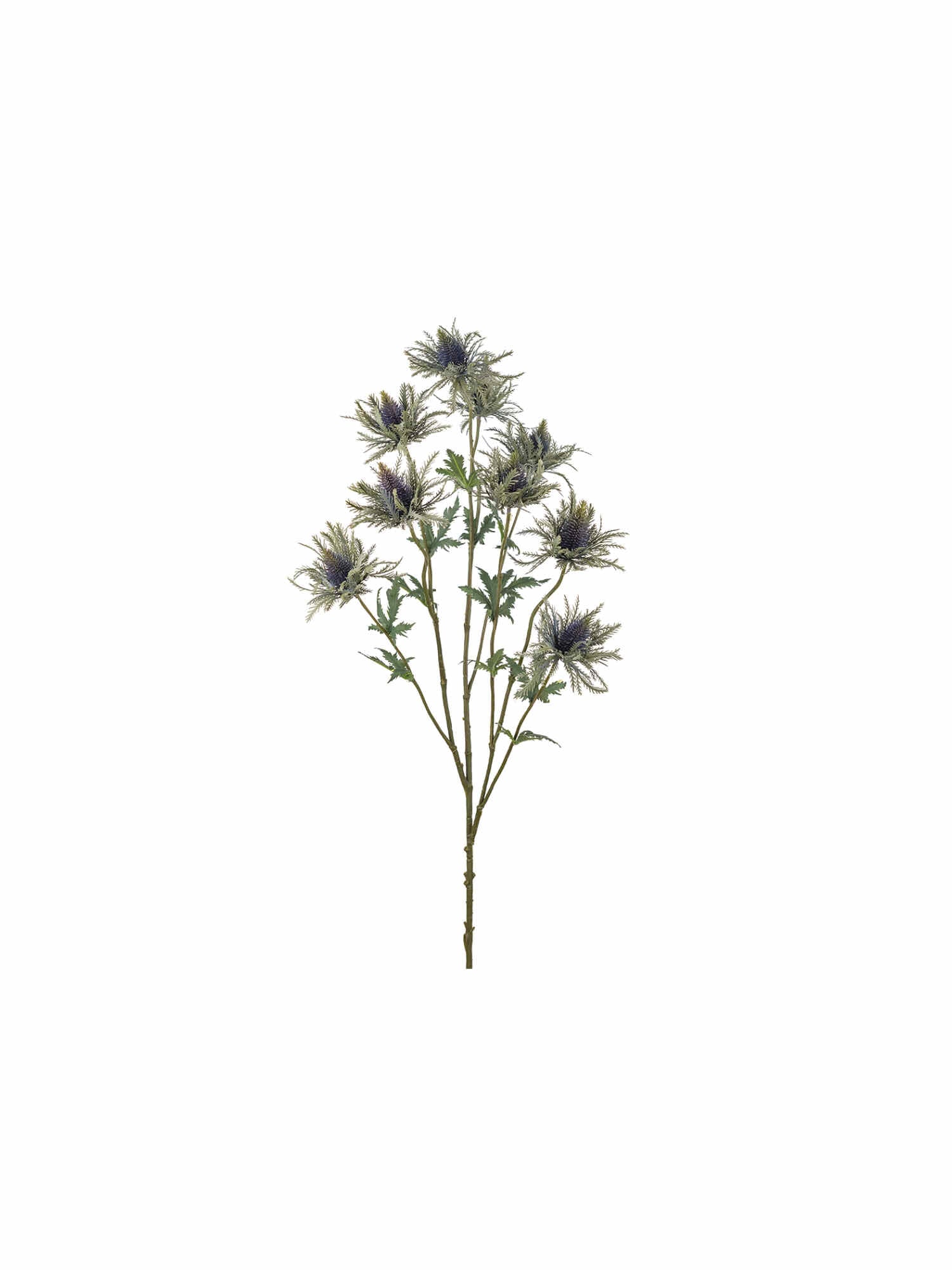 Tistel snittblomma blå 100 cm