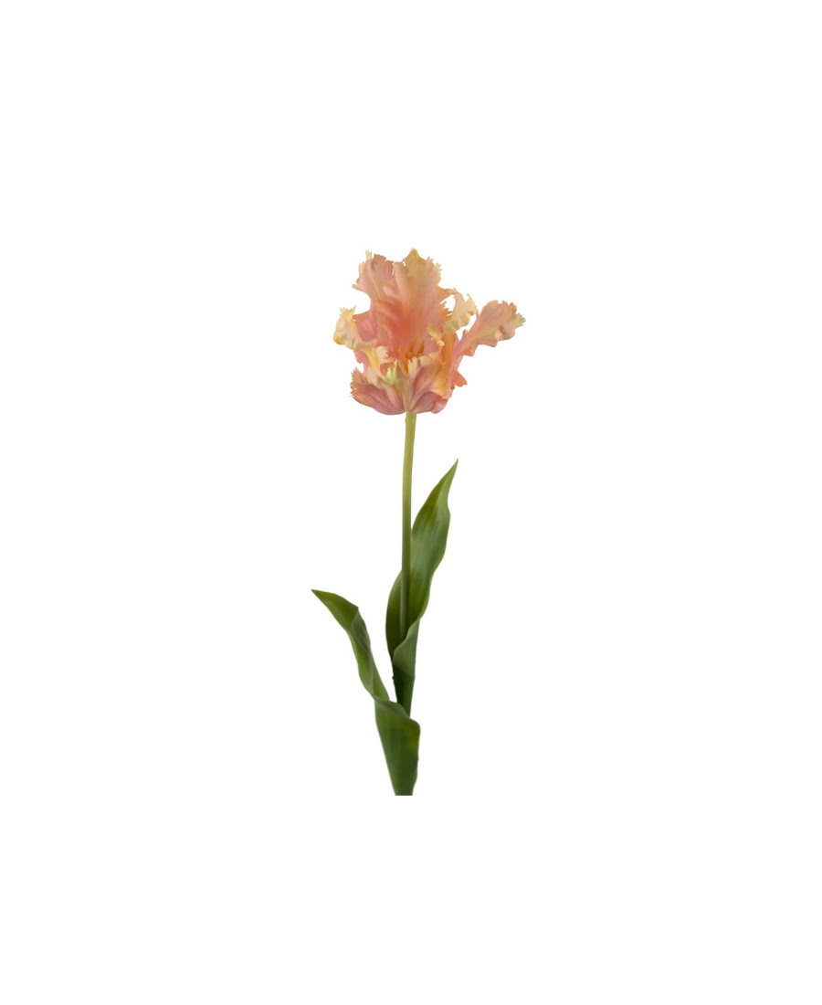 Tulpan snittblomma rosa 70 cm
