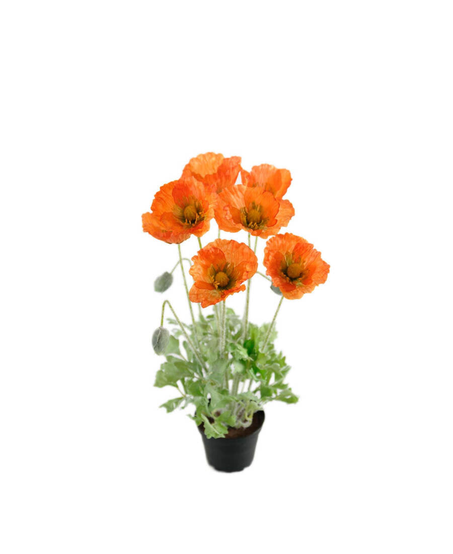 Vallmo konstväxt orange 40 cm