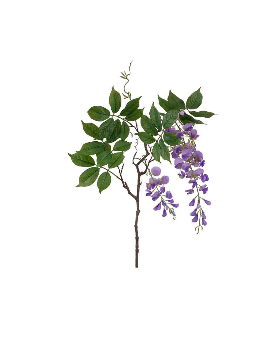 Visteria snittblomma lila