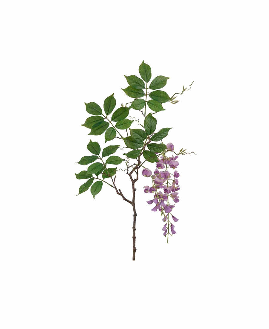 Visteria snittblomma ljuslila