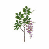 Visteria snittblomma ljuslila