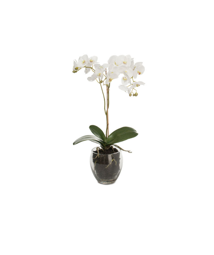Phalaenopsis konstväxt vit S