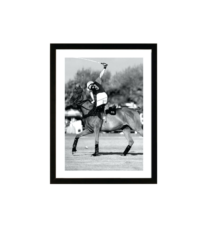 Exklusiv tavla Polo at Golden Park