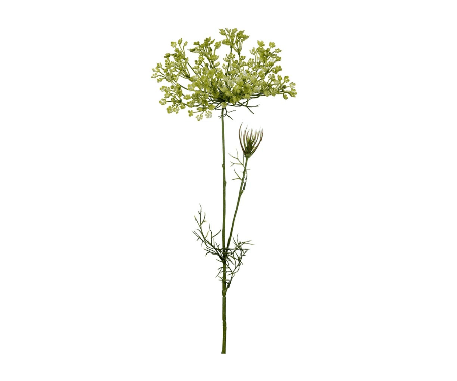 Allium snittblomma grön