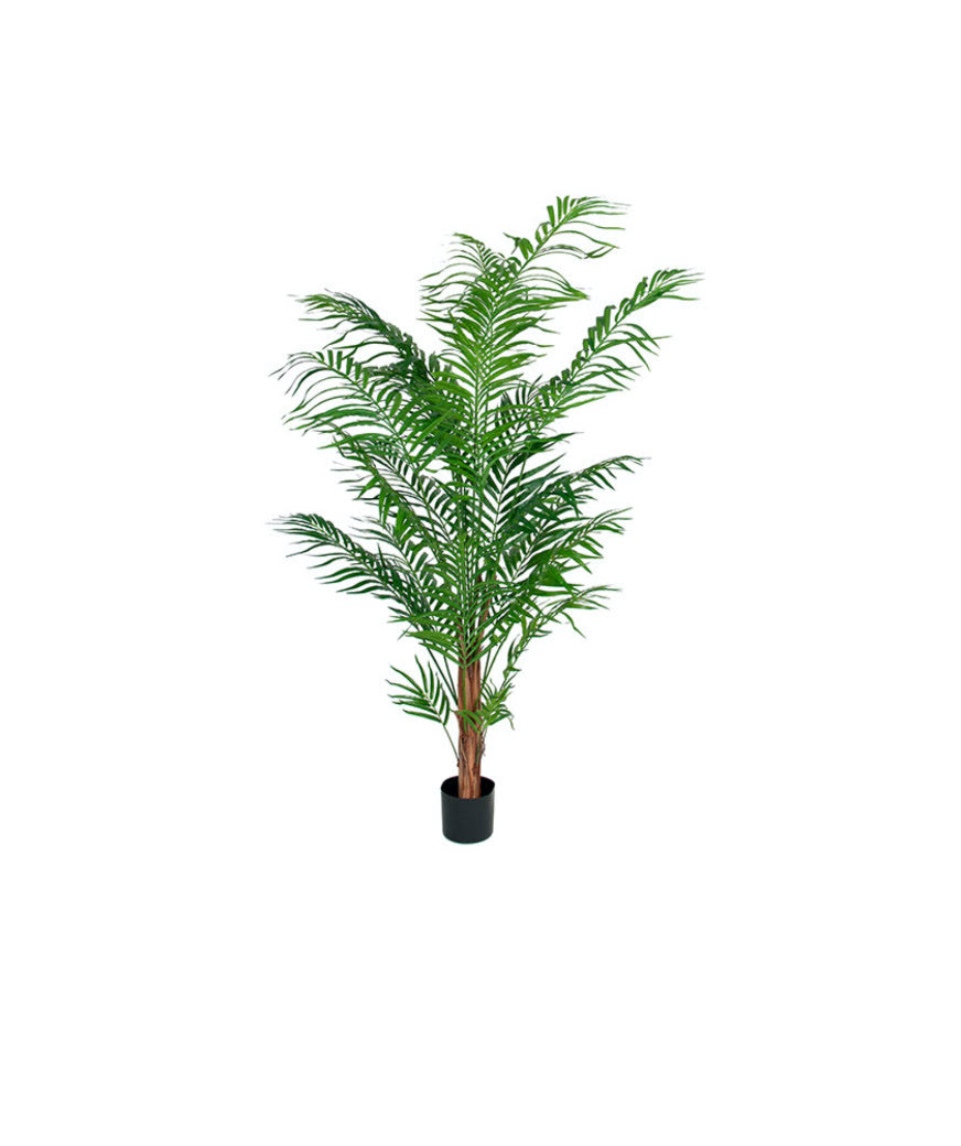 Areca palm konstväxt