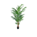 Areca palm konstväxt