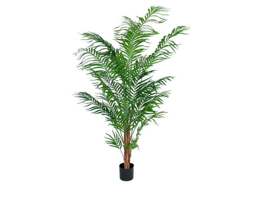 Areca palm konstväxt