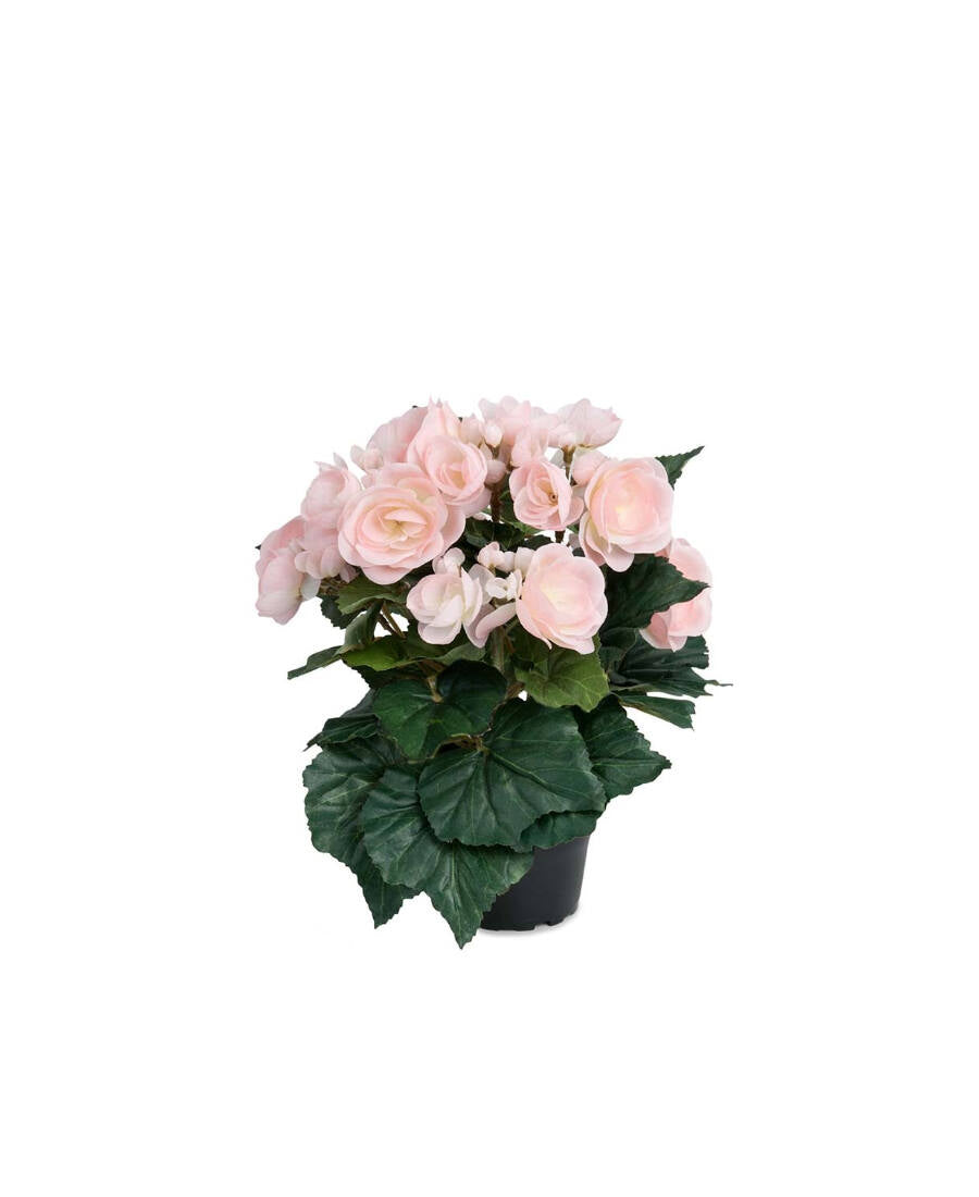 Begonia konstväxt ljusrosa 28 cm
