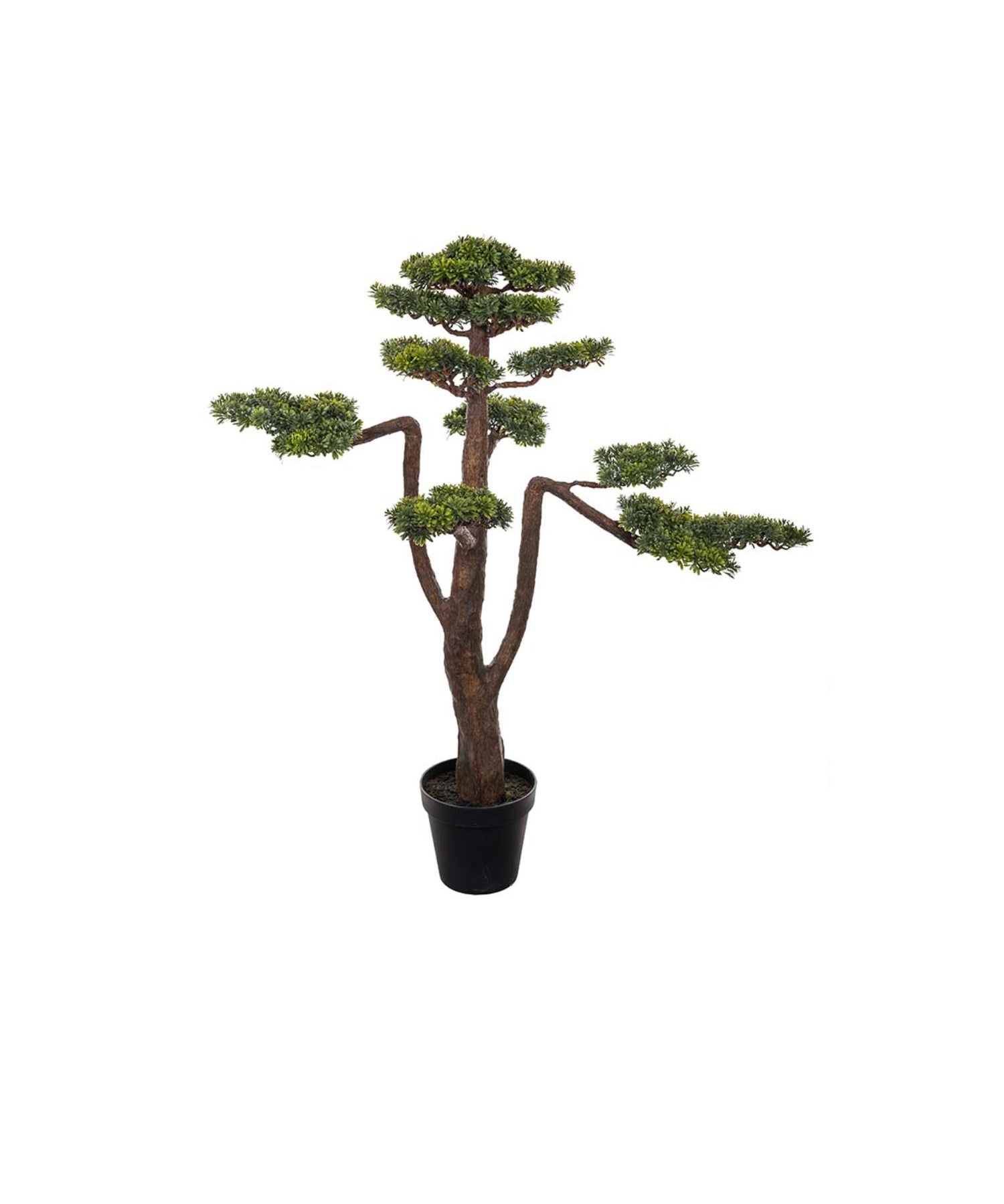 Bonsai konstväxt grön