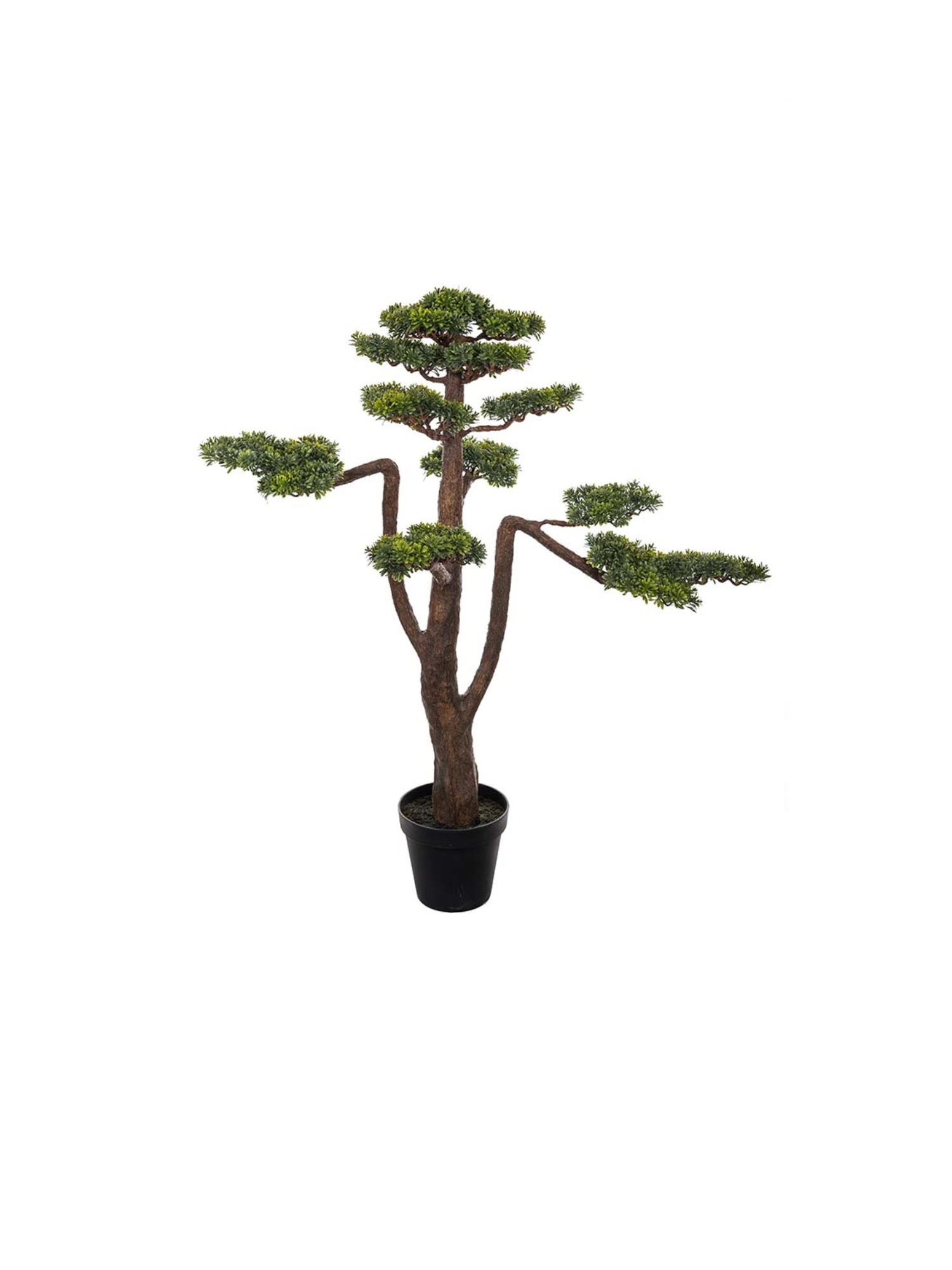 Bonsai konstväxt grön