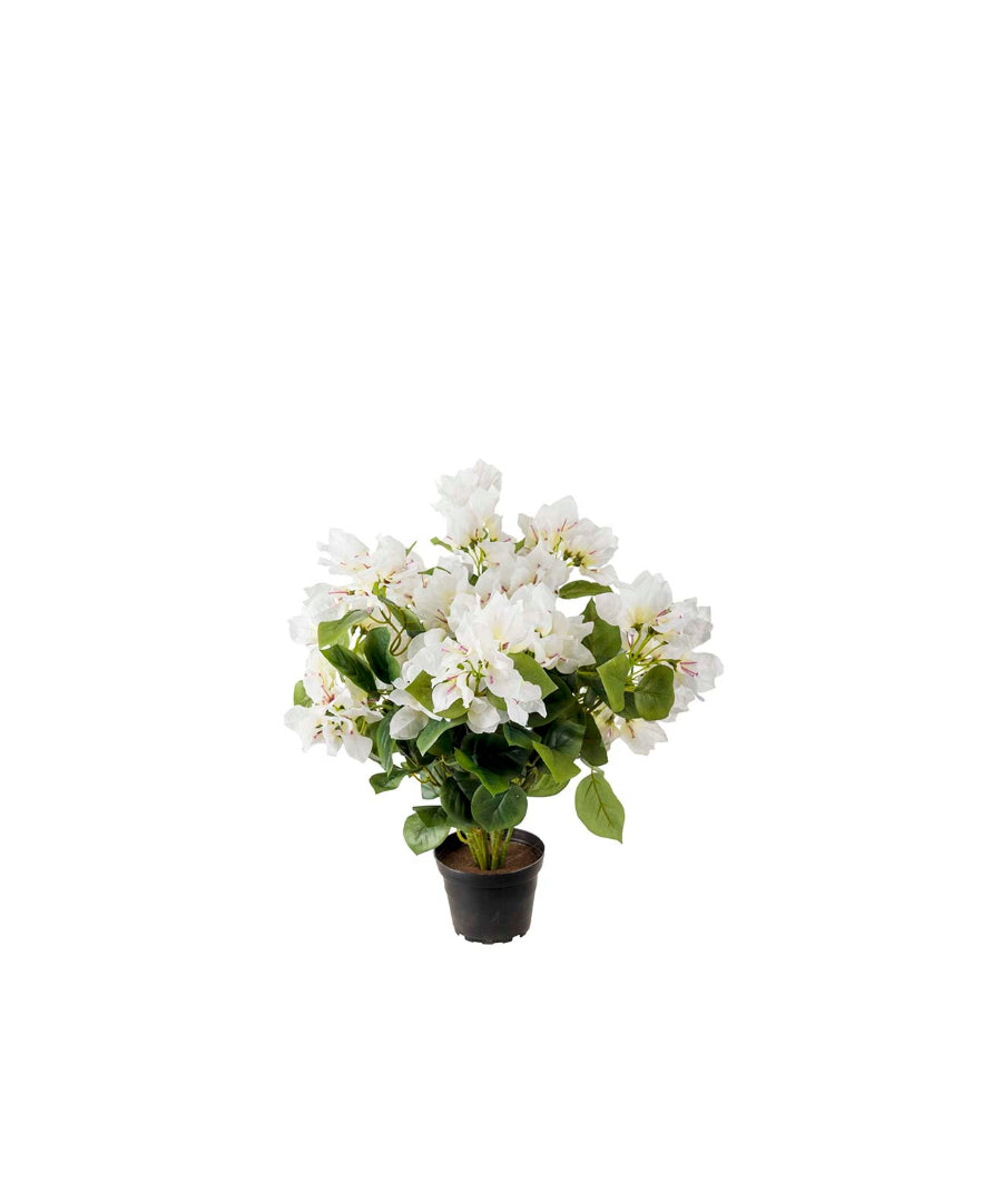 Bougainvillea konstväxt vit 40 cm