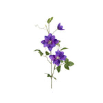 Clematis snittblomma blå 85 cm
