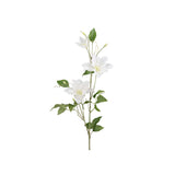 Clematis snittblomma vit 85 cm