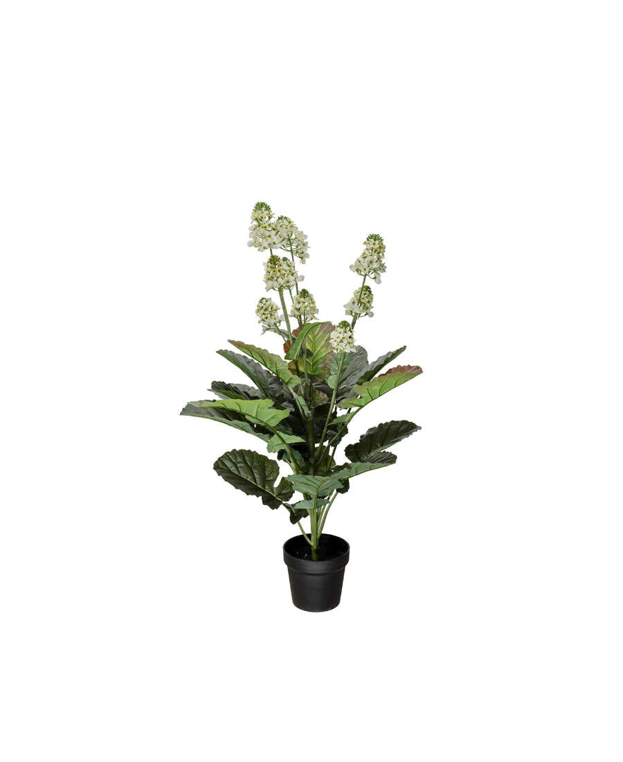 Coleblomma konstväxt grön 105 cm