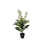 Coleblomma konstväxt grön 105 cm