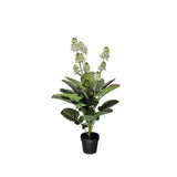 Coleblomma konstväxt grön 105 cm