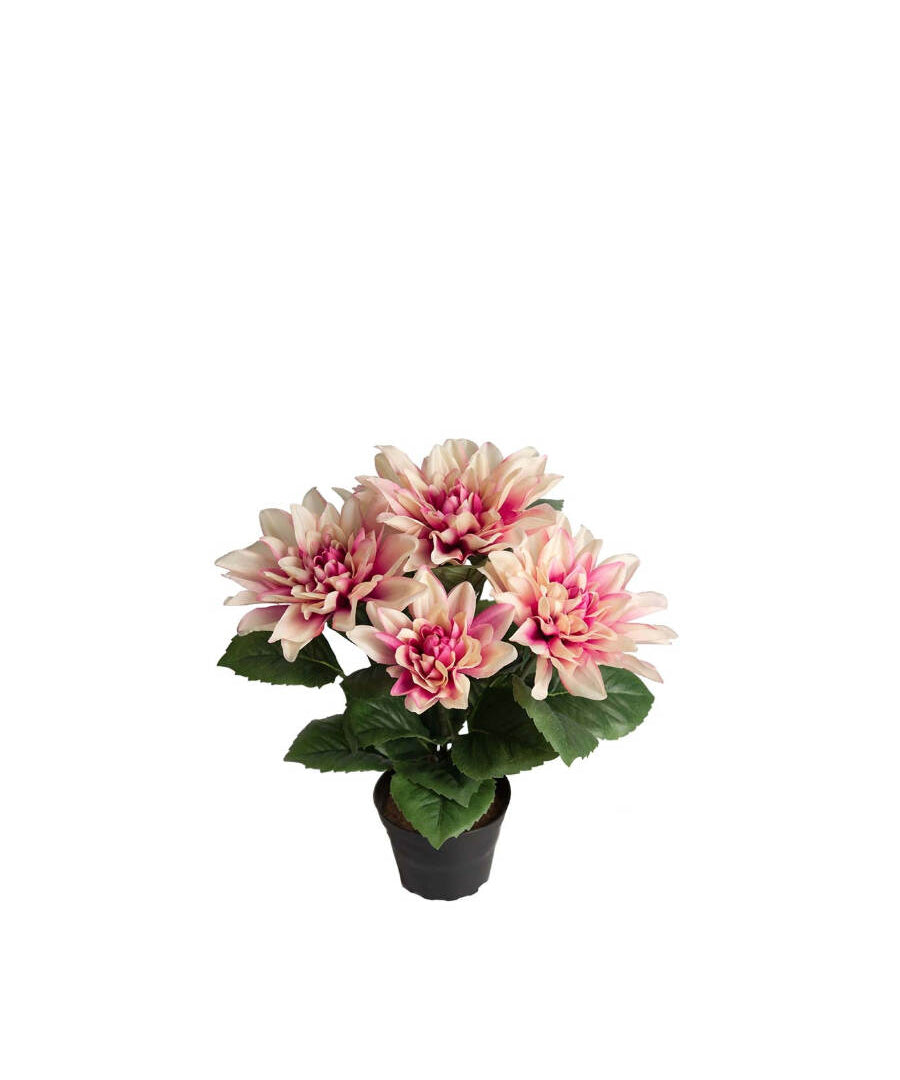Dahlia konstväxt lila 30 cm