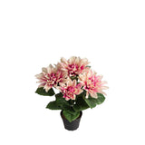 Dahlia konstväxt lila 30 cm