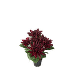 Dahlia konstväxt röd 30 cm