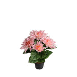 Dahlia konstväxt rosa 30 cm