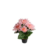 Dahlia konstväxt rosa 30 cm