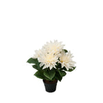 Dahlia konstväxt vit 30 cm