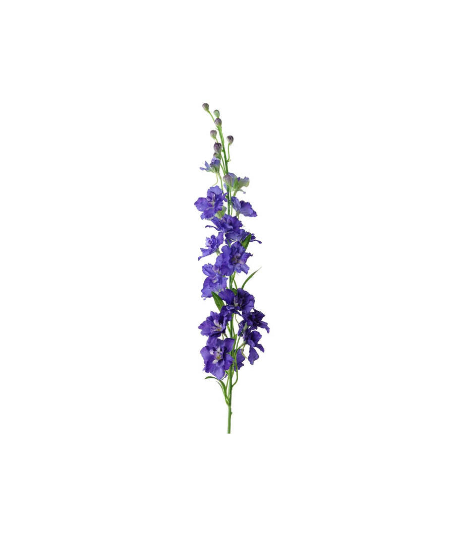 Delphinium snittblomma blå