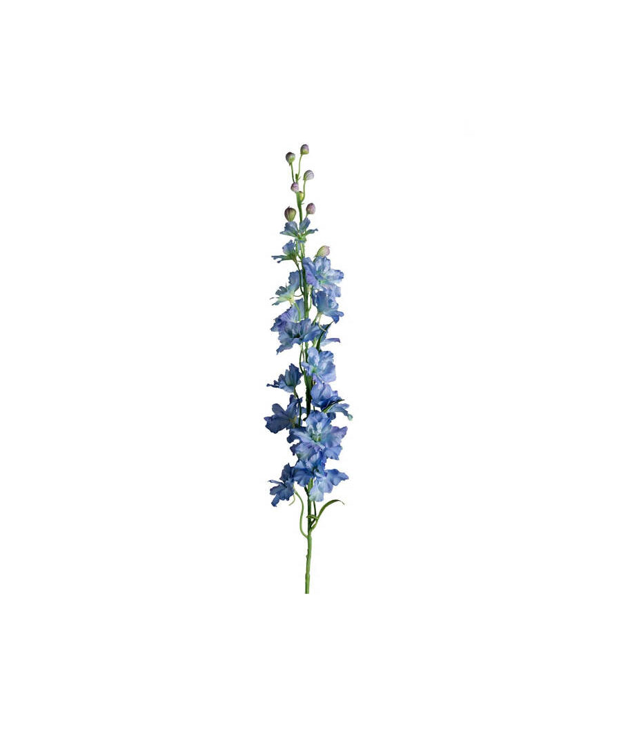 Delphinium snittblomma ljusblå