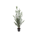 Eucalyptus konstträd grön 170 cm