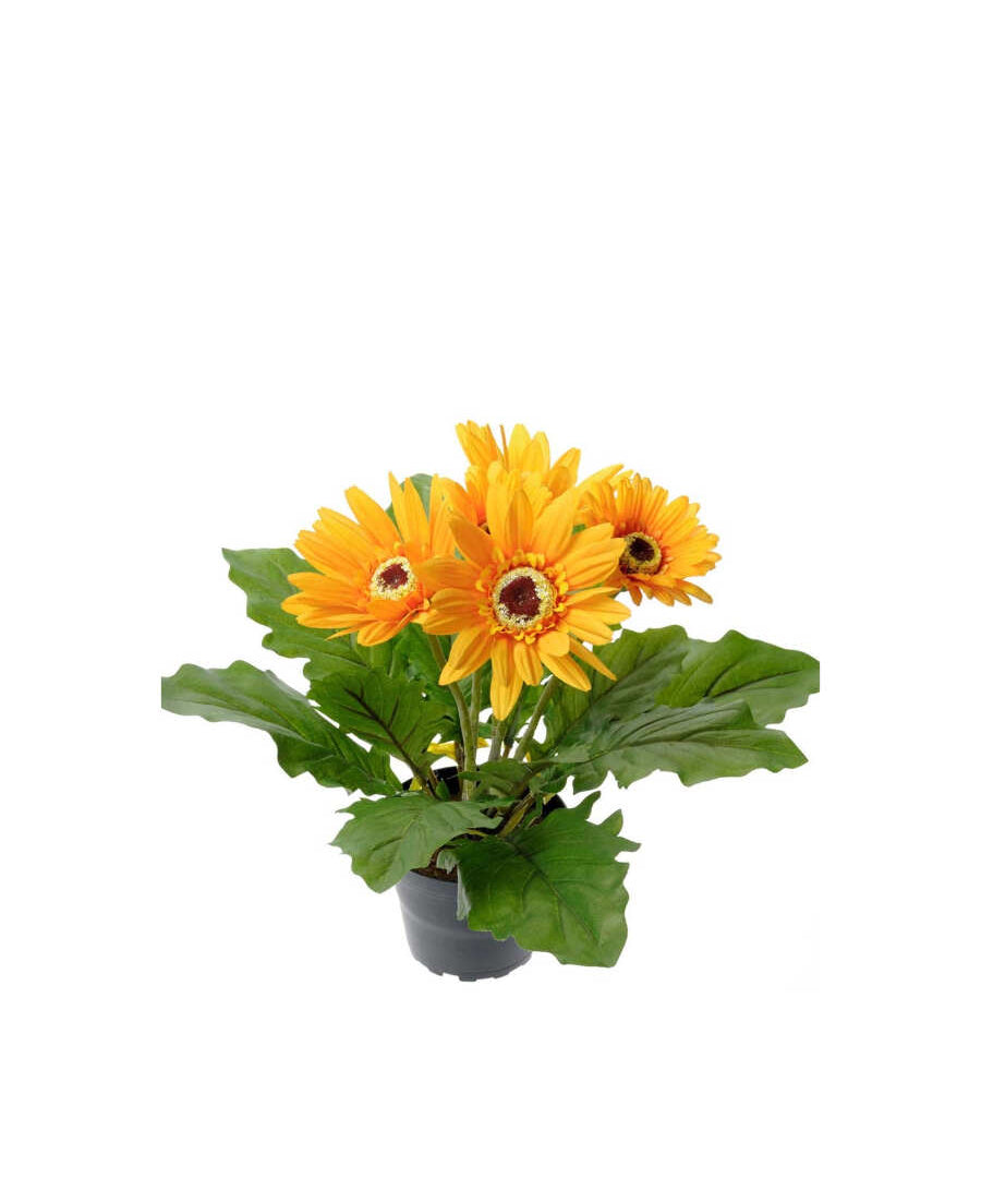 Gerbera konstväxt gul 30 cm