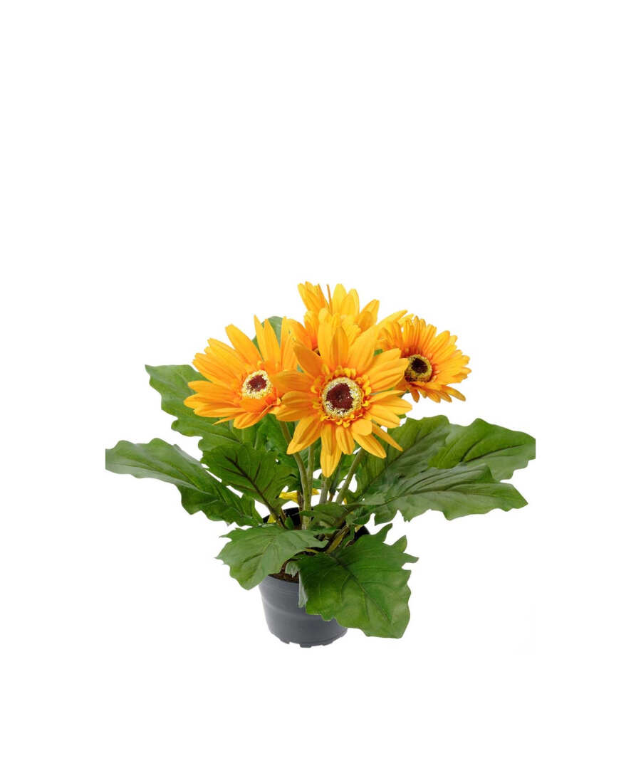 Gerbera konstväxt gul 30 cm