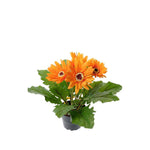 Gerbera konstväxt gul 30 cm
