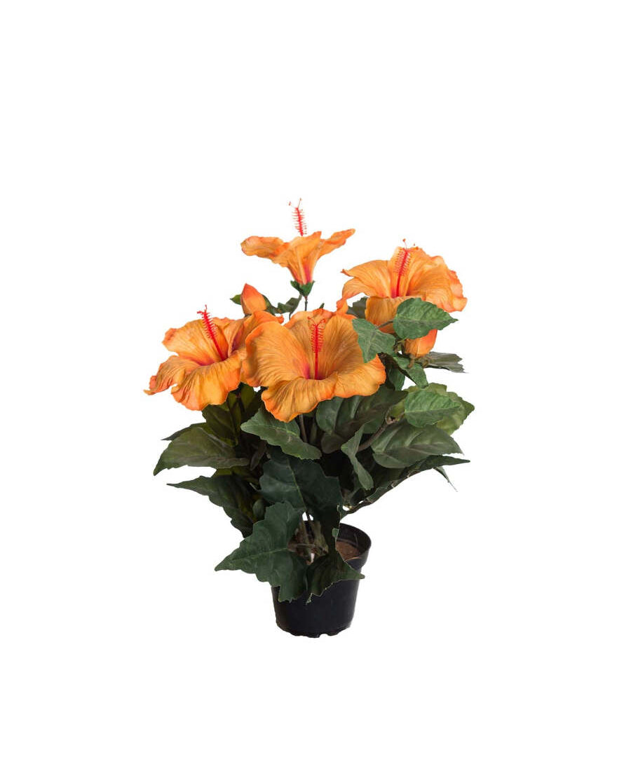 Hibiscus konstväxt orange 36 cm