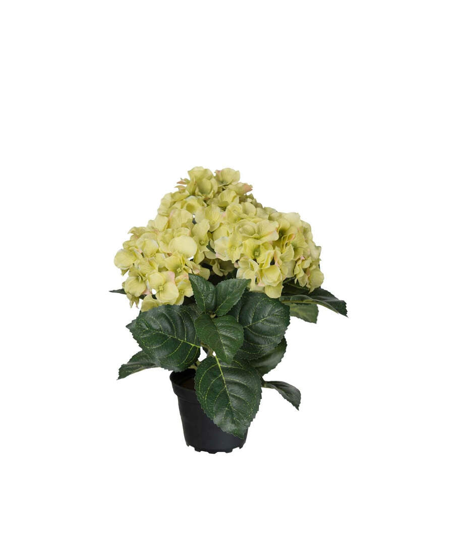 Hortensia konstväxt grön 30 cm
