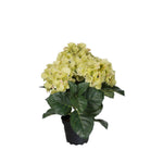 Hortensia konstväxt grön 30 cm