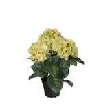 Hortensia konstväxt grön 30 cm