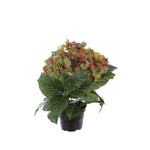 Hortensia konstväxt grön/lila 30 cm
