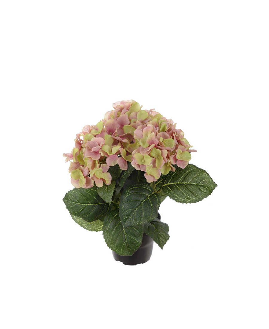 Hortensia konstväxt grön/ljusrosa 30 cm