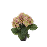 Hortensia konstväxt grön/ljusrosa 30 cm