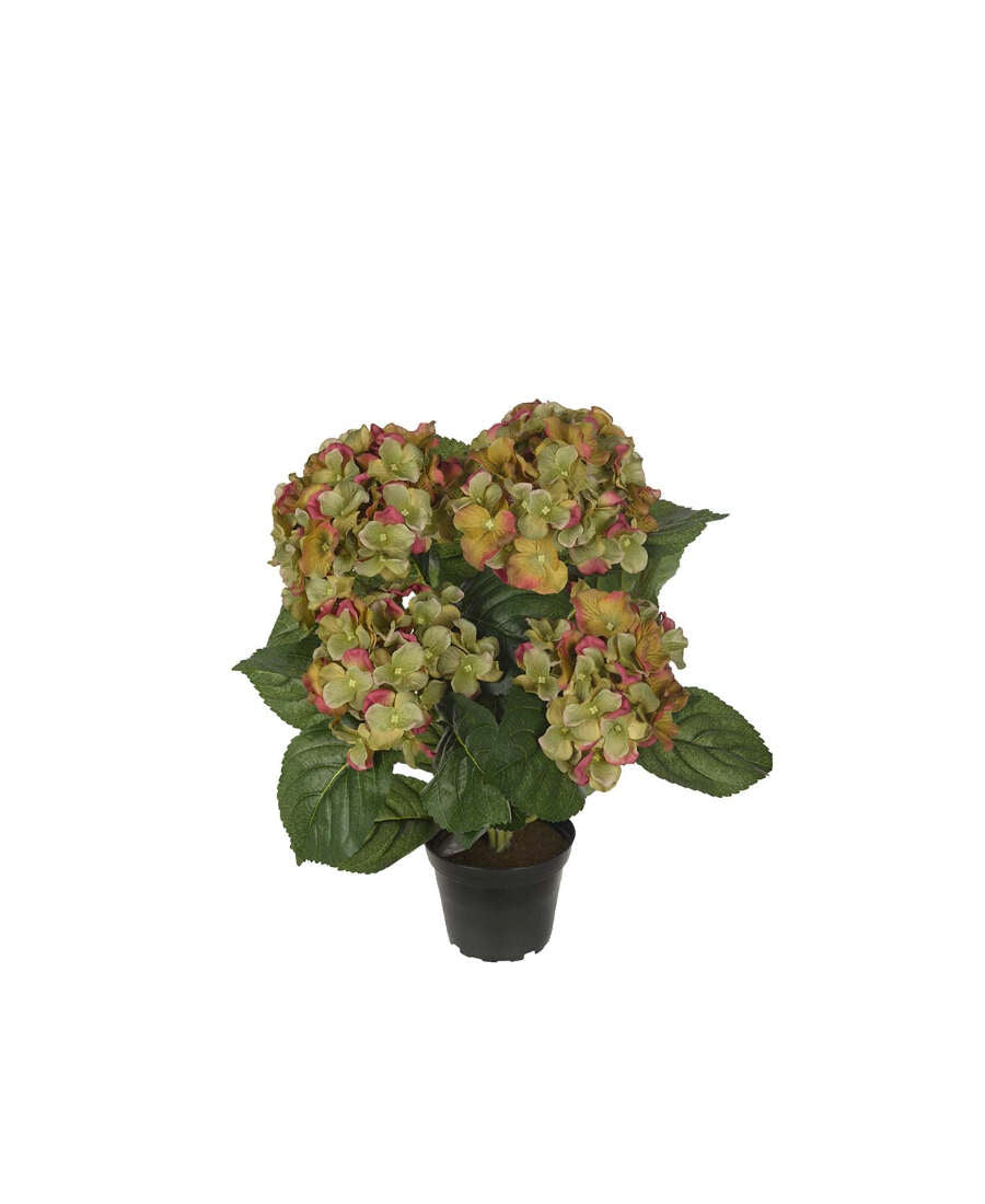 Hortensia konstväxt grön/röd 30 cm