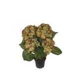 Hortensia konstväxt grön/röd 30 cm