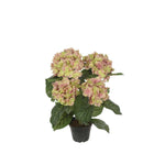 Hortensia konstväxt grön/rosa 30 cm