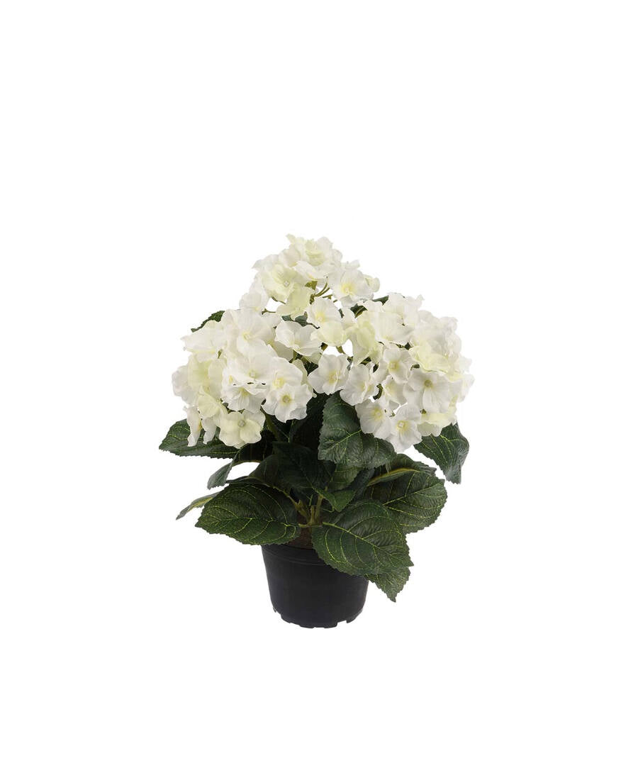 Hortensia konstväxt vit 30 cm