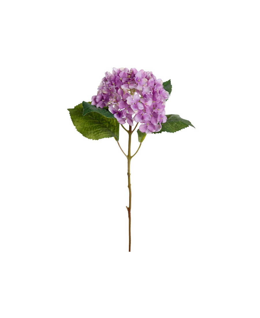 Hortensia snittblomma lila