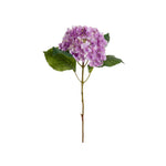 Hortensia snittblomma lila