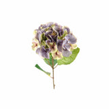 Hortensia snittblomma lila/gul