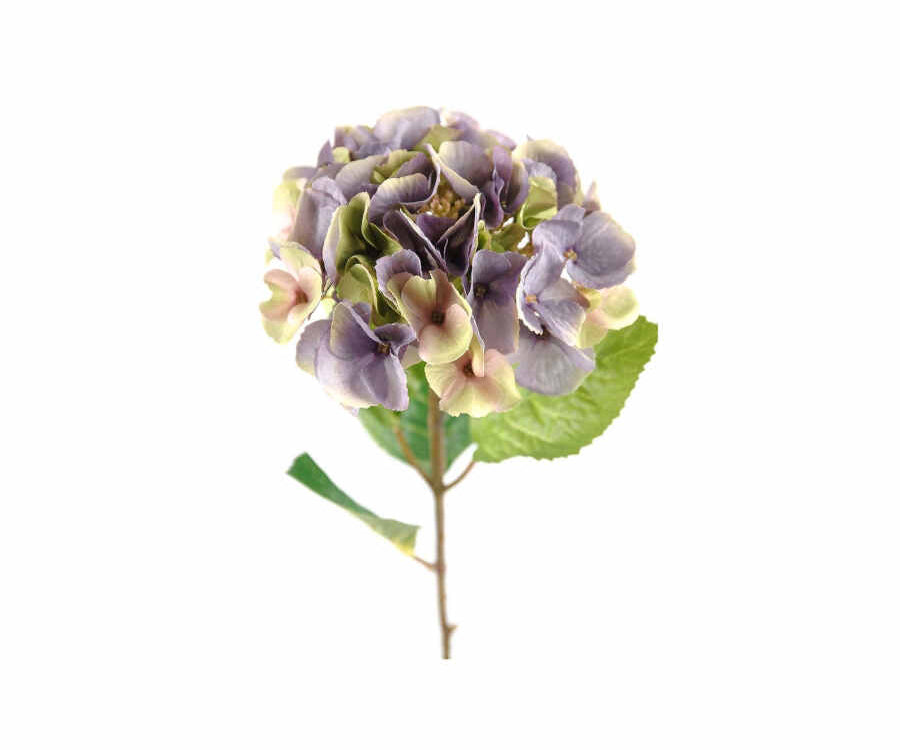 Hortensia snittblomma lila/gul