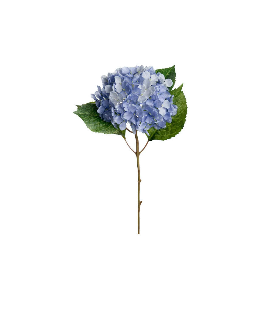 Hortensia snittblomma blå